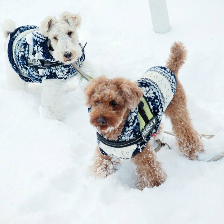 2039e1d0 7bde 4510 b4ec db57890326a3