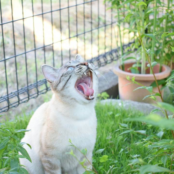 203a3b02 f4b0 49f9 9511 c5c841894284