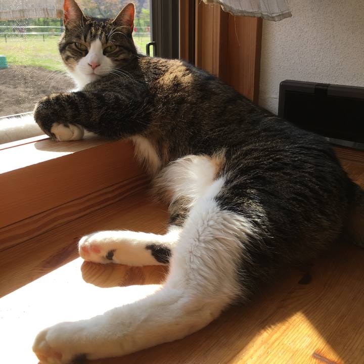 203a3ffd da0f 473f 9dc7 e09fcd072b19