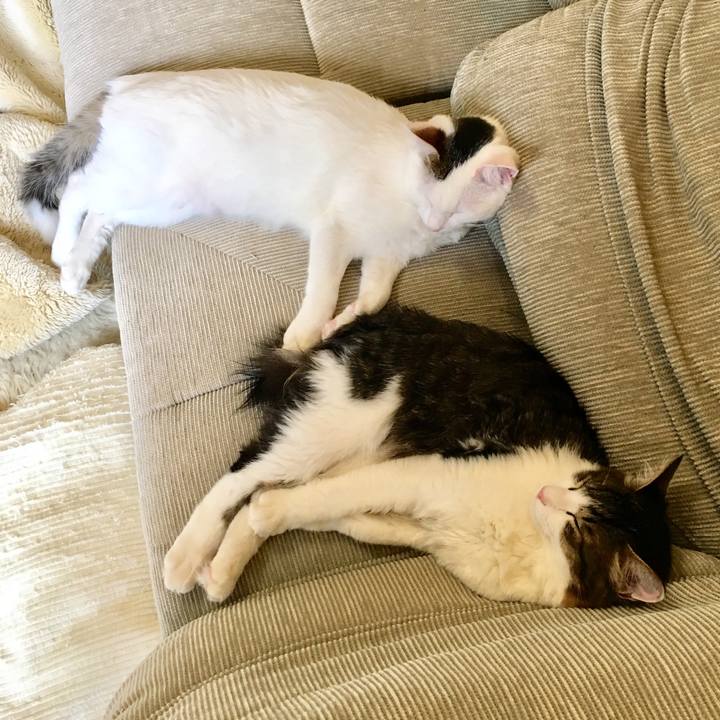 203ac350 c709 440a 95f7 ae0879f48195