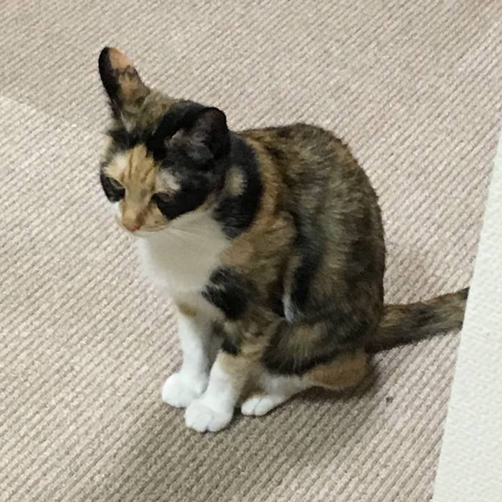 203b3baa 23db 43cf 81bd 85daaf0dc541