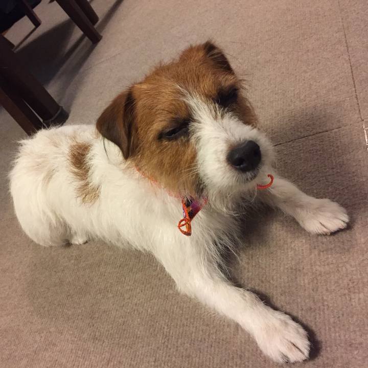 203b9a2b a669 45a1 ac23 293db6bd2430