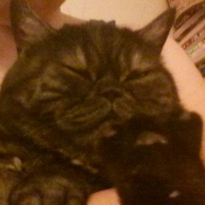 203be083 4471 4f12 8092 6d217af6e200