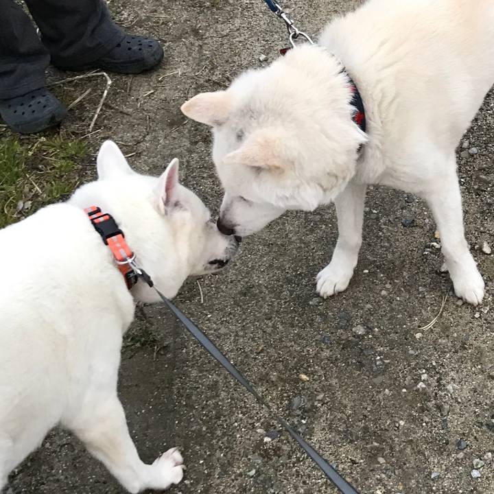 203c0188 482d 4b2a b365 985fbe0a734f