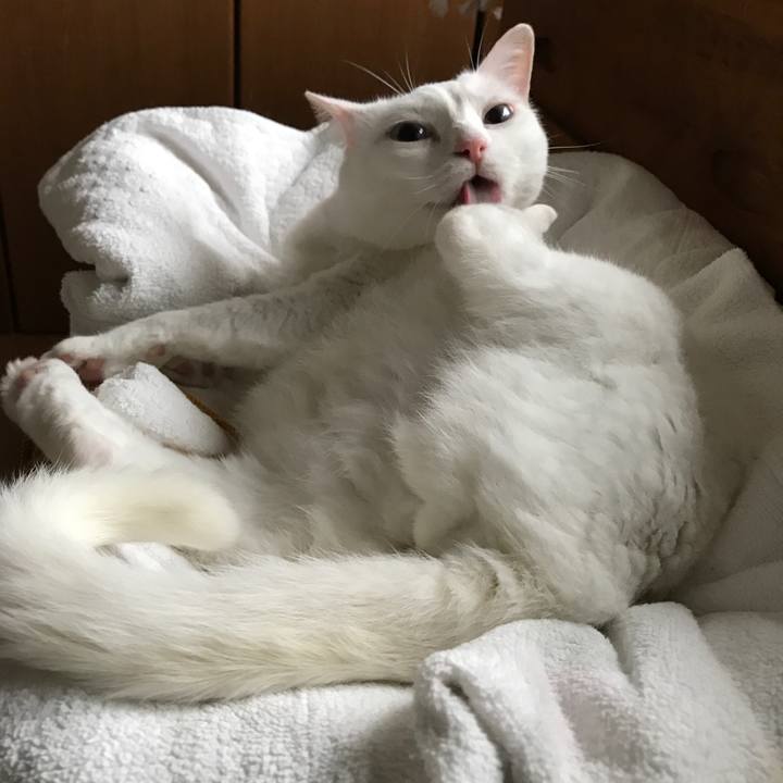 203c66ca 0a27 4202 8c0d ab84331ba9fb