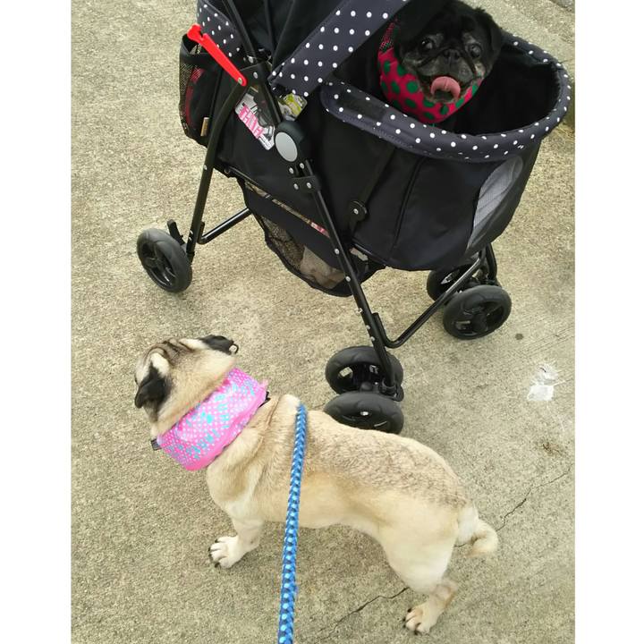 203d072b 1c10 4c2d b75e 9f0b8ee0d34f