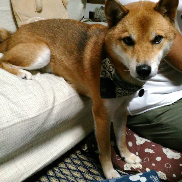 203de9ef 9529 428f bc2a 700cdf35d58e