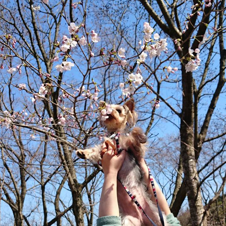 203dfb76 9a35 4544 b30d 358d93f908f7