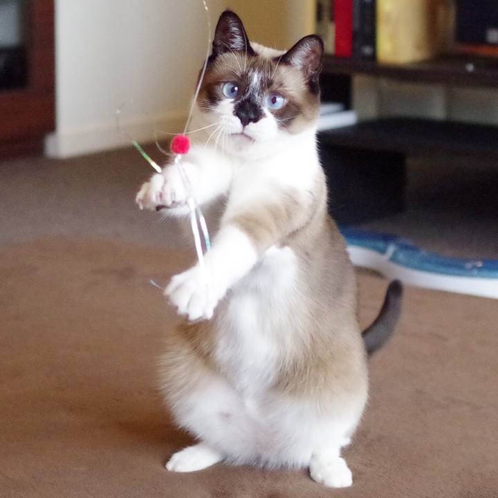 203e36fd 319b 471e b161 a06ae4ce9bca