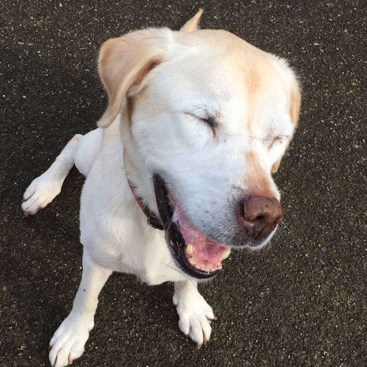 203e3866 b3fd 4b11 8997 f15847b4f2f9