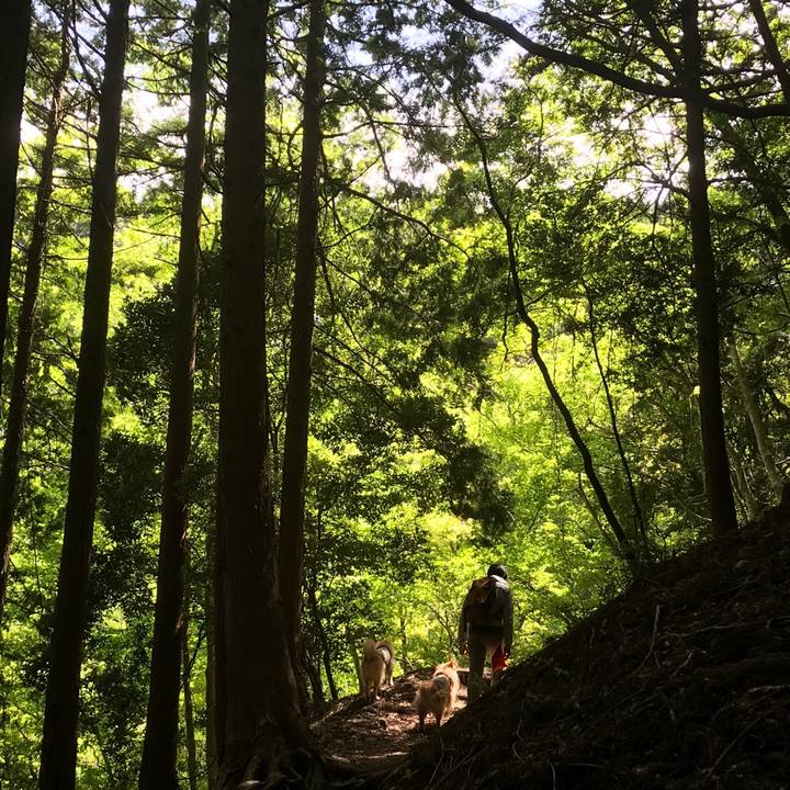 203e4735 47b3 4834 832a 4ea39e9bb123