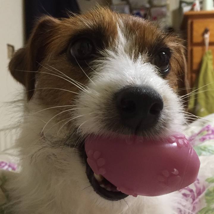 203f9416 d5a3 4ad4 8f77 448dbd85f98f