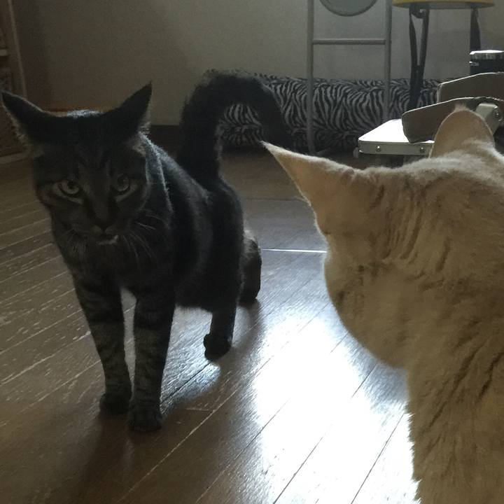 204011e2 23d5 448f 8815 217175cef410