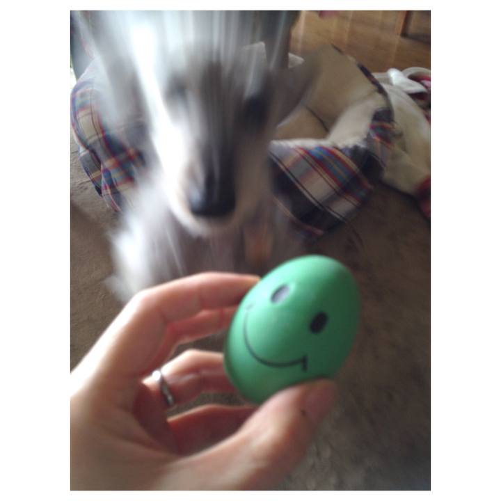 20408e97 0065 41c6 8d3c f7ac91018947