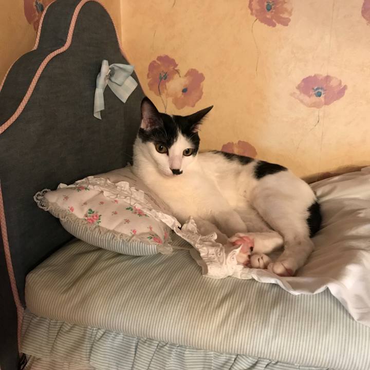 20409632 ffd3 41d2 8cd2 4959bc87b90e