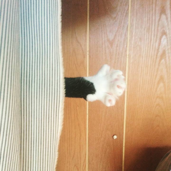 2040b5bc d690 4dcb 8ac9 d447074eed47