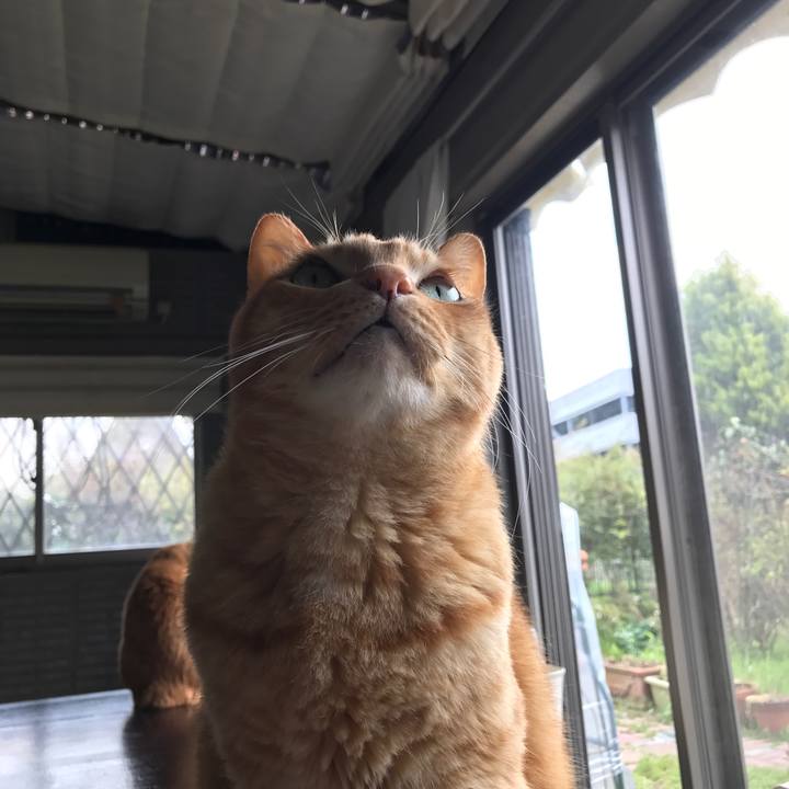 2040c31e 5b74 4c7b af27 b67ab813b617