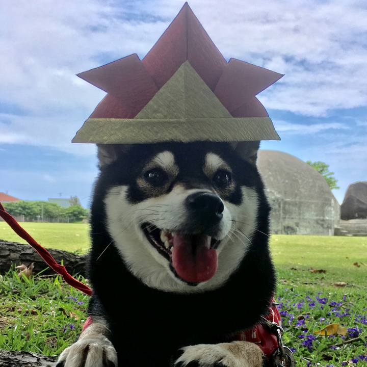 2041597d bd80 464c aed4 d547a5f3e4b5