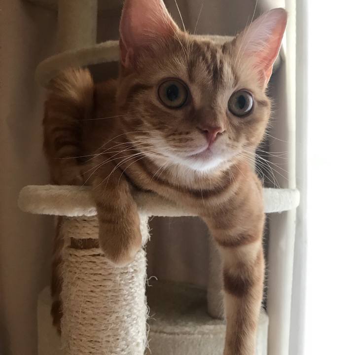 2041747f a7bc 4944 8341 c3142ea64ed2