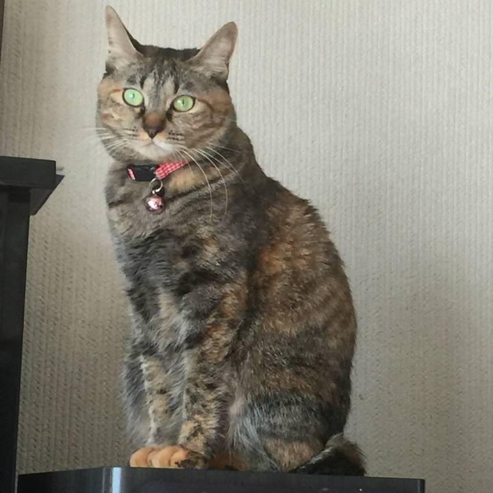 2041c3a2 16ed 4d90 be39 a313068de480