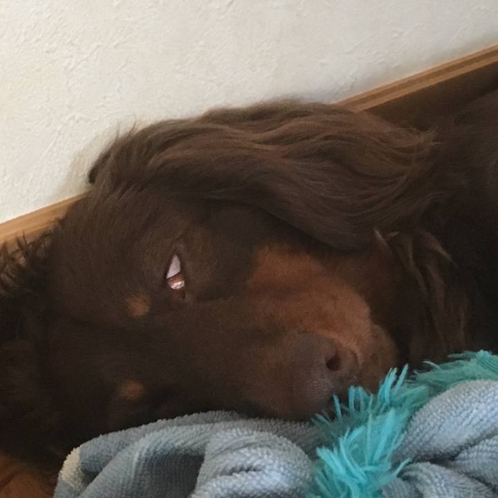 2041e830 31ce 4bed a069 c4732beab42a