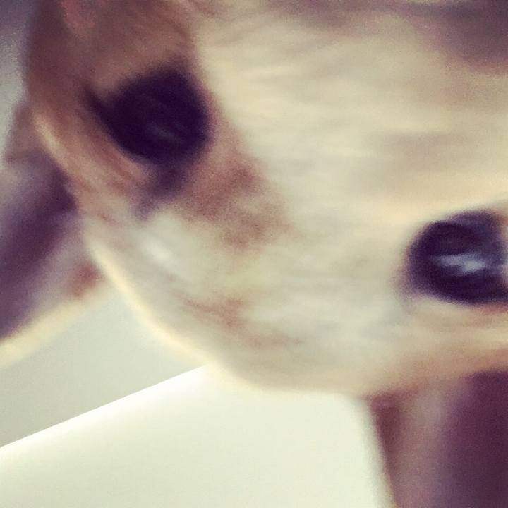 2041e975 de5a 4ef4 b98d 7889bba37fa0