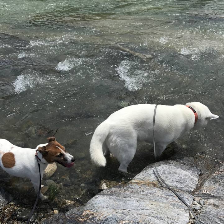 204238bb e436 46e4 b4e2 6c3f984f7830