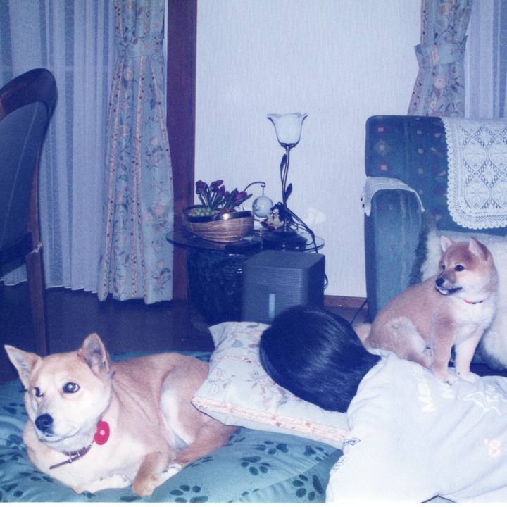 20425716 b48f 480f 9c43 e0c703bfb597