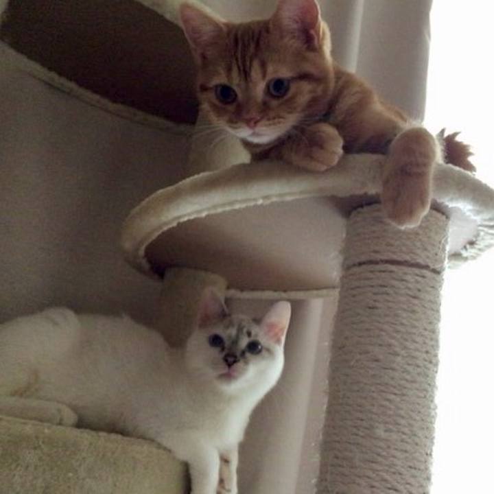 2042d5e5 92b6 4dde a355 27d79254d733