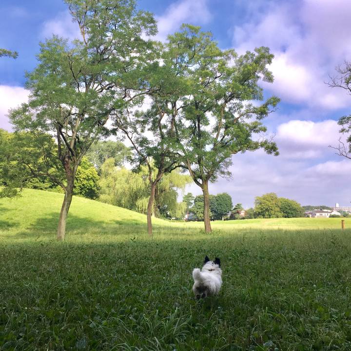 2042f1ab b01f 4d22 9633 0c7809ef58f3