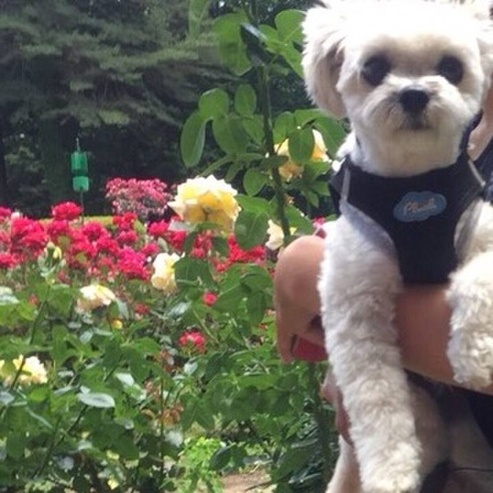 204308d8 faa9 4206 a46a 6f66bac6ea1d