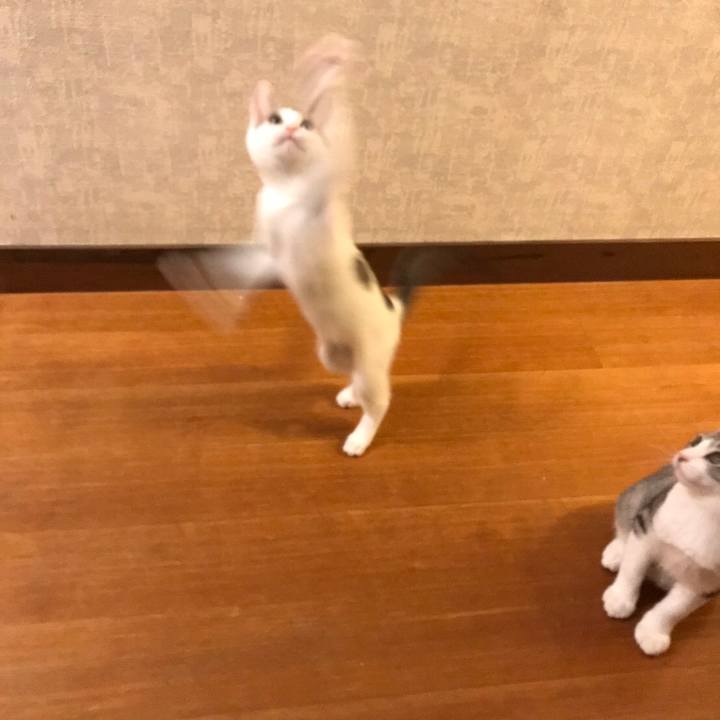 20433133 283a 4025 9b09 a41d38528381