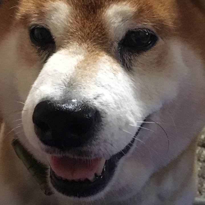 2043732e 9b92 44ae a018 bf6474237cf4