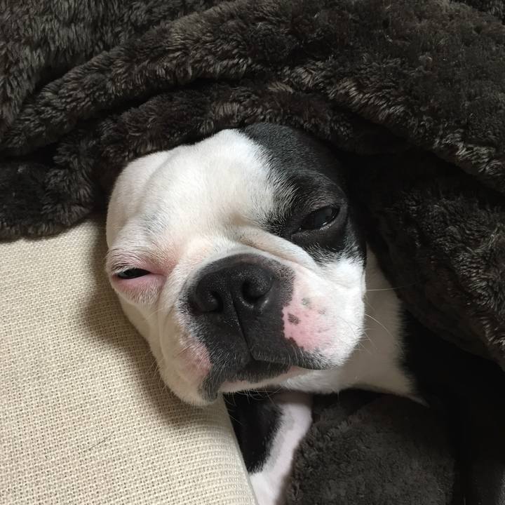 20439112 802c 477c 9e58 a0a8a7e281f4