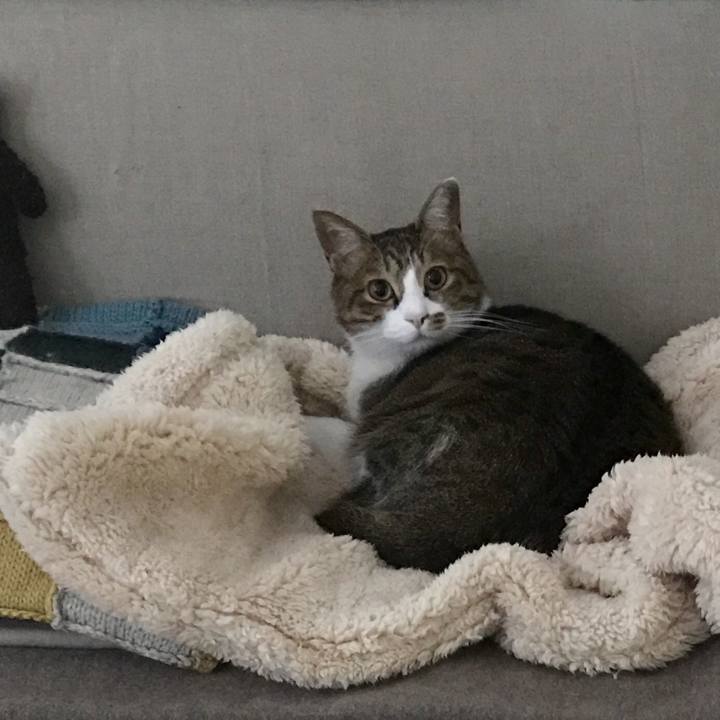 2043aaf4 6238 403b a5f8 20b182083e26