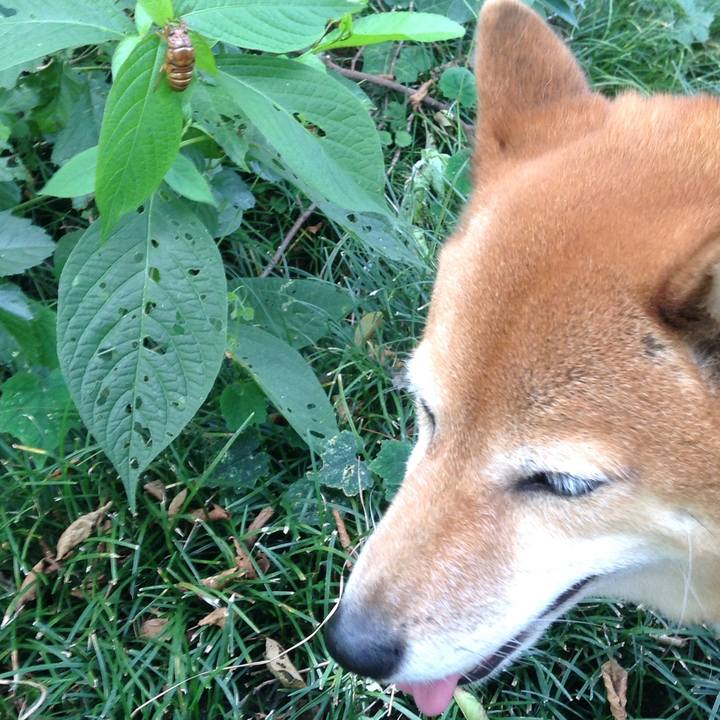 2044449e e2b6 465a 87fc db23a98c91de