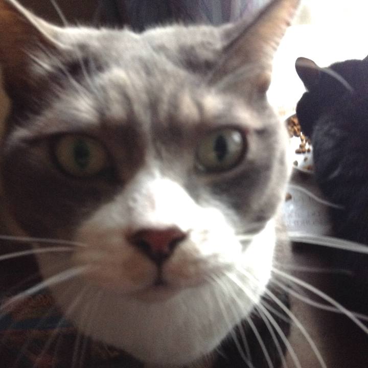 2044dd7e 1d0f 4981 a947 de62699a1788