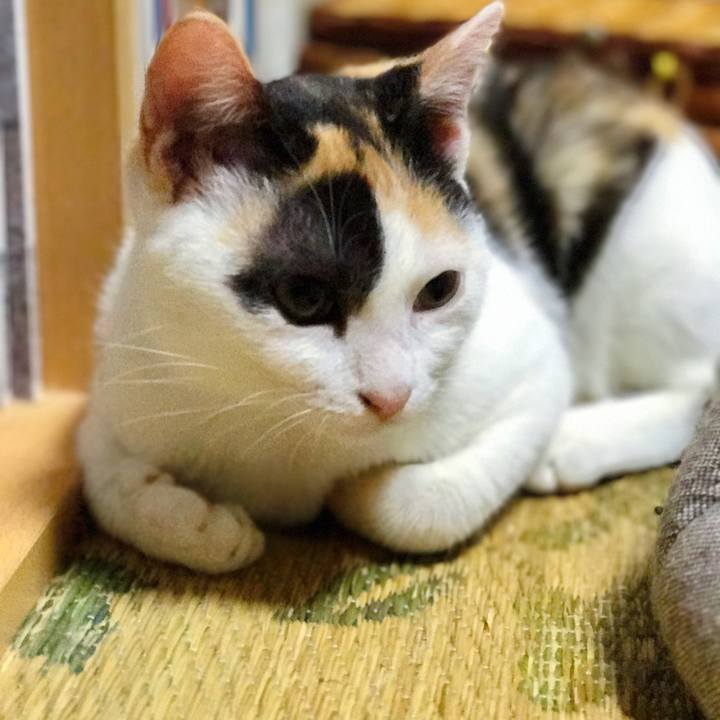 2046797b 965f 4149 aea5 4f09e9af07ab