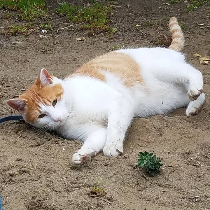 20478ba6 c13d 4262 af1e 08af9c0afb52