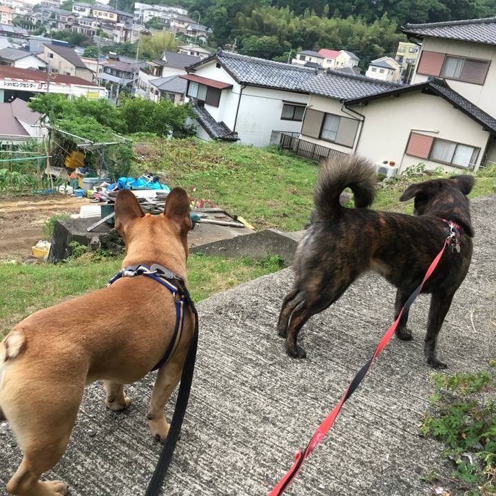 2047d441 65d9 4572 97fb 42622390778f