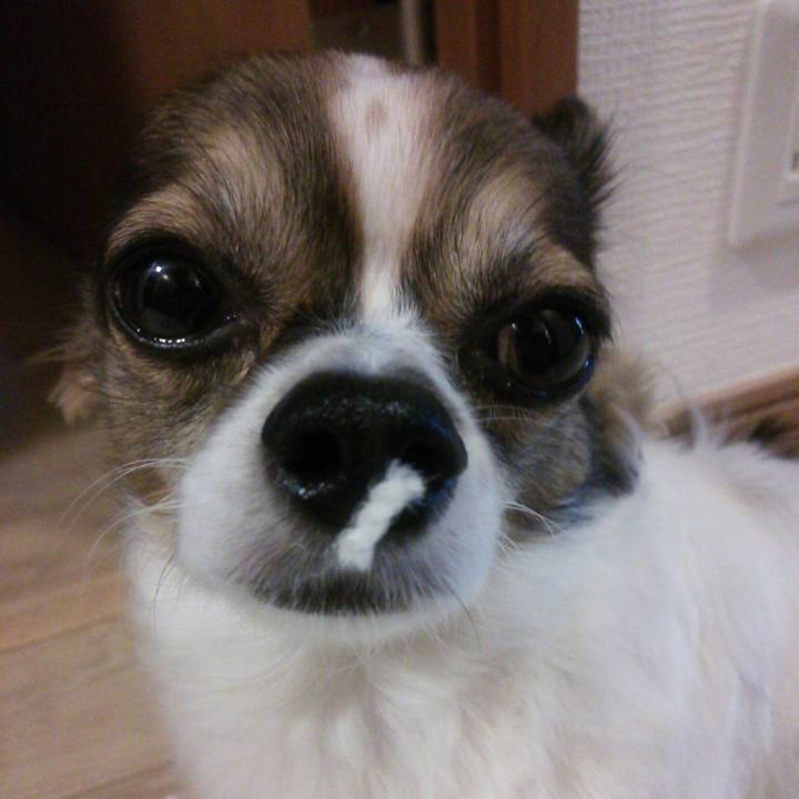 2047d77f be1d 42a3 9842 7440b671d72c