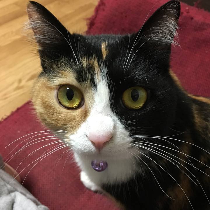 2047f88f b3c4 4af9 a4a4 feea810e7489