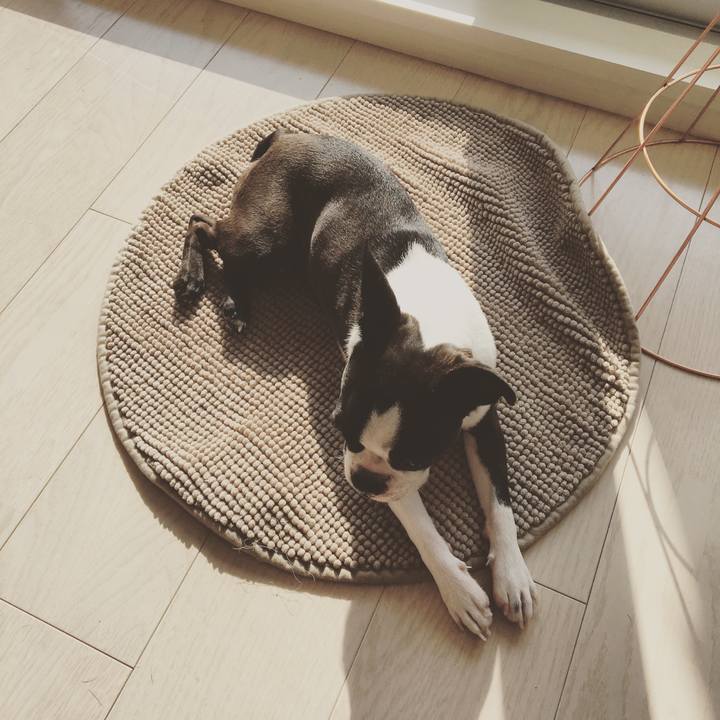 20486084 fc32 47f0 9bd3 9e60babb6c9f