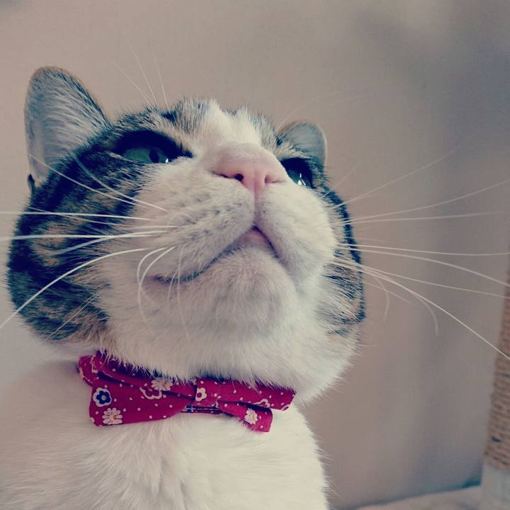 2048674f b529 430d a66e 567e5b6835c4