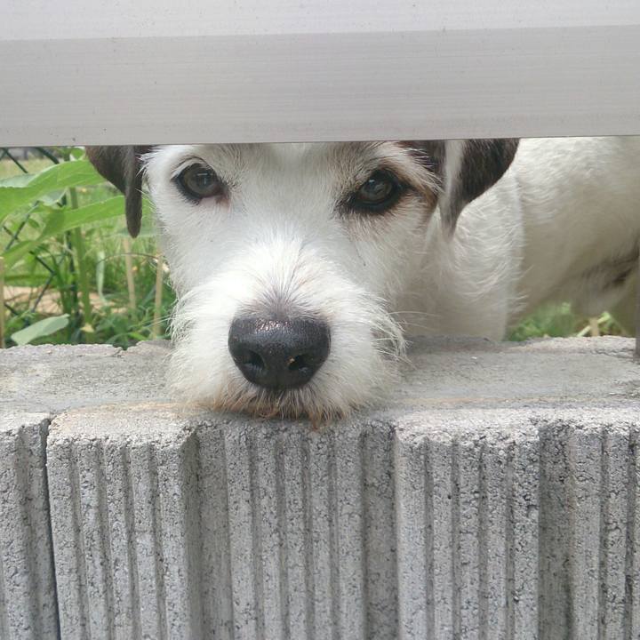 20488dee 554f 479a 88f7 32fa1dec0c27