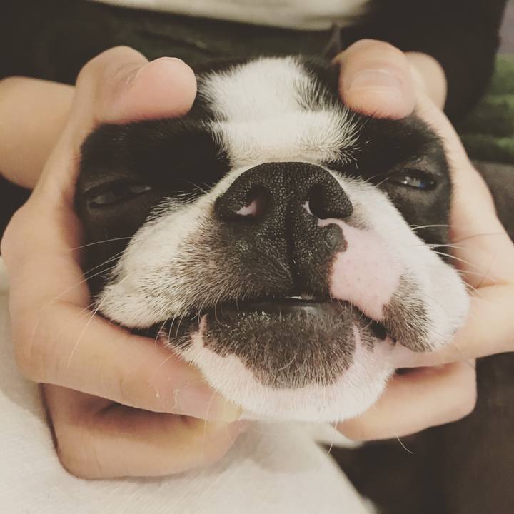 20488f31 4f54 48ff 9be0 c88d5d09f86d