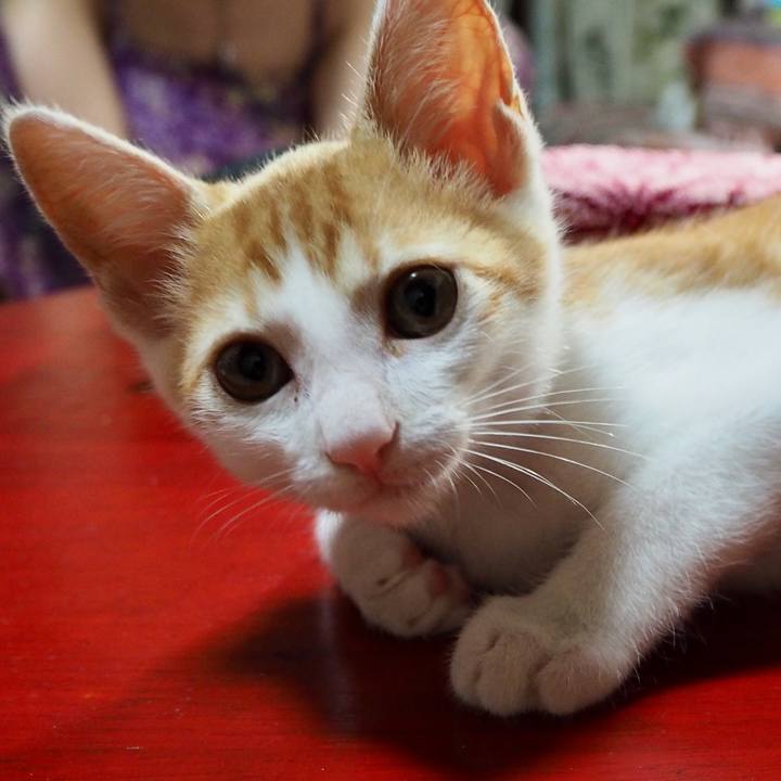 204a7bf9 d55f 4d0a 91df 60c26d37cf14