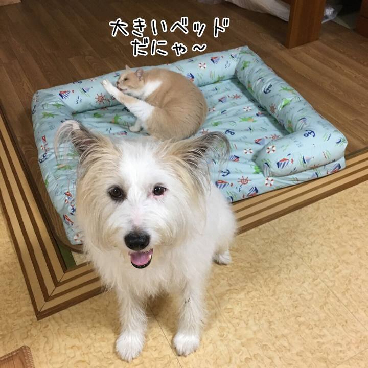 204a8e57 2eb2 440a 8a81 612985e5e564