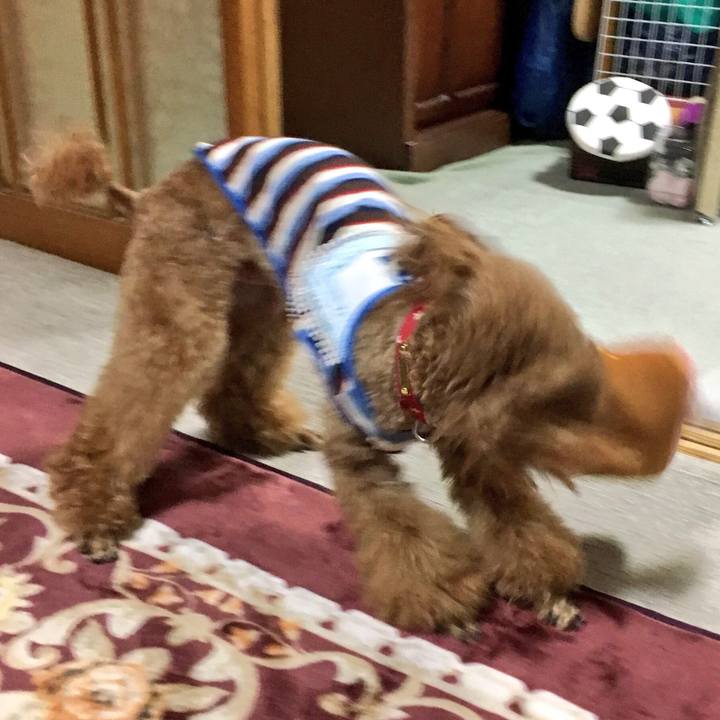 204abf8b 6a3d 447a a69a c6bbbef8995e