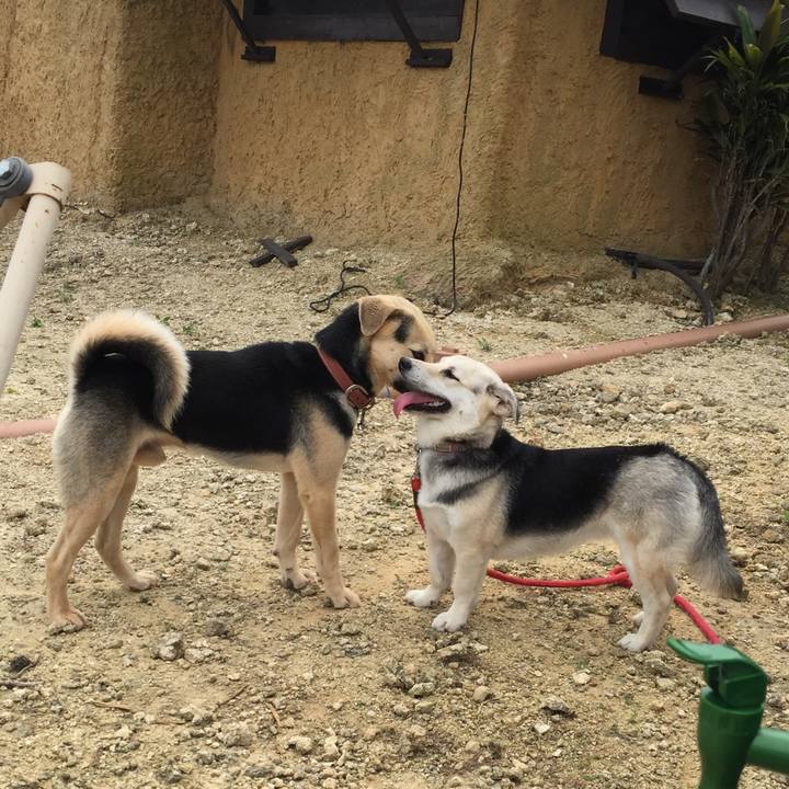 204b92c5 16b3 4e0c abb3 a874b8fe5afd